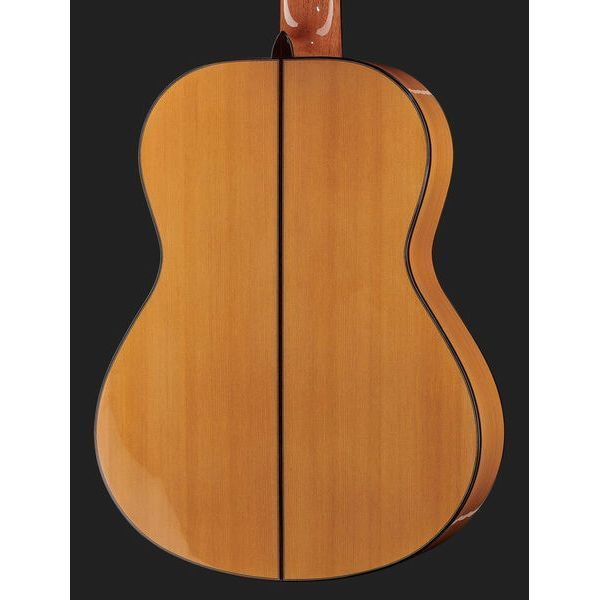 Класична гітара Alhambra 10 Fc Flamenco incl. Case 524885 фото