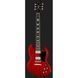 Електрогітара Harley Benton DC-580 CH Vintage Serie Bundle 371280 фото 2
