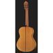 Класична гітара Alhambra 10 Fc Flamenco incl. Case 524885 фото 3