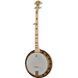 Deering Goodtime Two Banjo 573552 фото 1