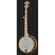 Deering Goodtime Two Banjo 573552 фото 2