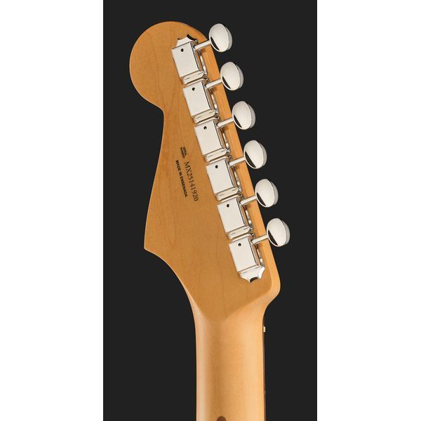 Fender Player II Strat RW PWT 595239 фото