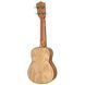 Harley Benton UK-12 Stain Ash NT Bundle 599890 фото 3