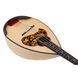 Atsushi Miyano Round Back Mandola MD-2 MG 10098435 фото 6