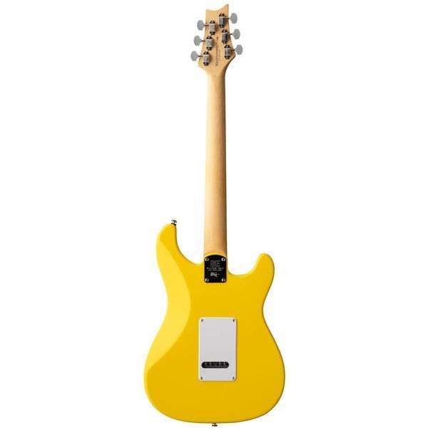 PRS SE Silver Sky Dandy Lion LH 639288 фото