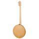 Deering Goodtime Six-R 440378 фото 2
