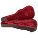 Taylor Aero Case GA 489549 фото 8