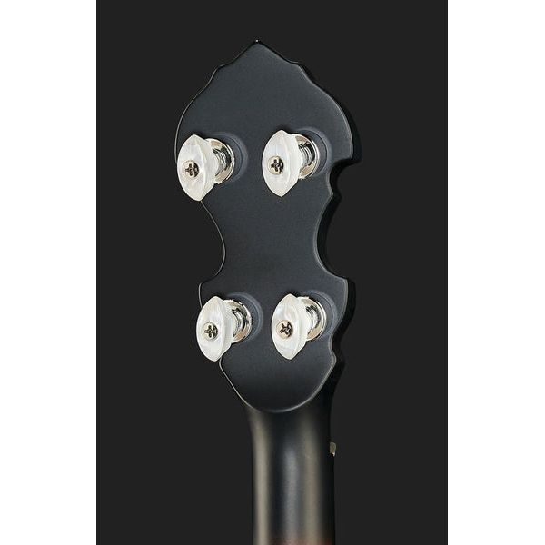 Gold Tone Irish Tenor Banjo 12" 461043 фото