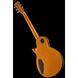Harley Benton SC-Custom III Gold Top Set 598322 фото 9