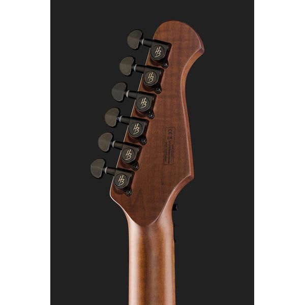 Harley Benton Guitar MAX Fusion Signature HO 593722 фото