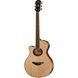 Yamaha APX700IIL NT 259610 фото 1
