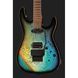 Harley Benton Guitar MAX Fusion Signature HO 593722 фото 4