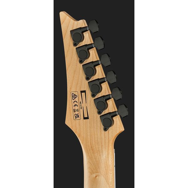 Ibanez GRG121DX-BKF Bundle 392910 фото