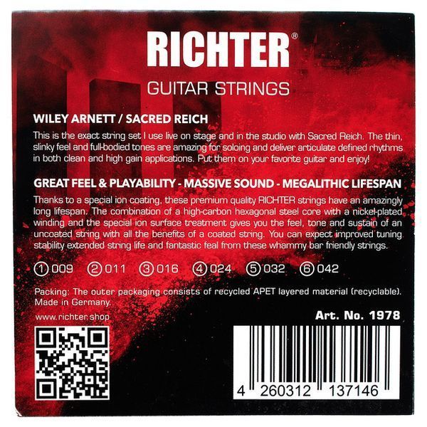 Richter Wiley Arnett Strings 009-042 582731 фото