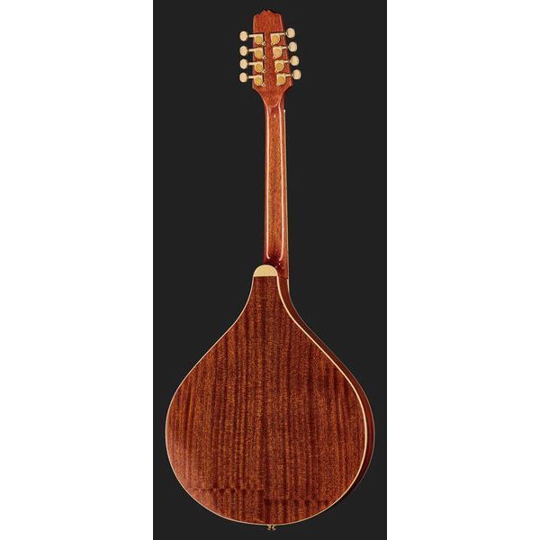 Gold Tone M-800+ Octave Mandoline 10098472 фото