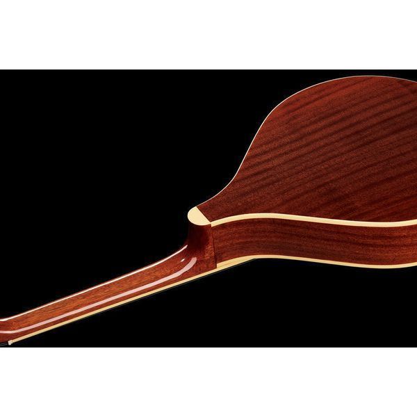 Gold Tone M-800+ Octave Mandoline 10098472 фото