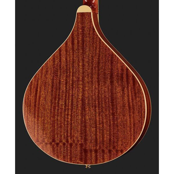 Gold Tone M-800+ Octave Mandoline 10098472 фото