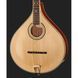 Gold Tone M-800+ Octave Mandoline 10098472 фото 4