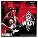 Richter Wiley Arnett Strings 009-042 582731 фото 1