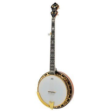 Epiphone Earl Scruggs Golden Deluxe 588318 фото