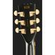 Harley Benton SC-Custom III FR VBK Set 598244 фото 7