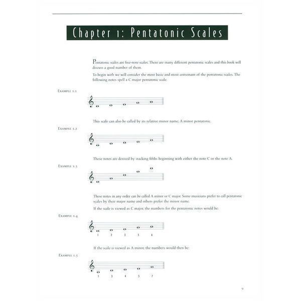 Advance Music Pentatonics 602639 фото