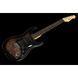 Harley Benton ST-70 Black Paisley Bundle 479496 фото 9