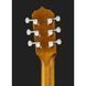 Deering Phoenix A/E 6-string Banjo 302476 фото 7