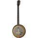 Deering Phoenix A/E 6-string Banjo 302476 фото 1