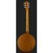 Deering Phoenix A/E 6-string Banjo 302476 фото 3