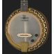 Deering Phoenix A/E 6-string Banjo 302476 фото 4