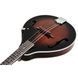 Ibanez M510-DVS 617254 фото 5
