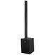 DAS Audio Altea-Duo-20A 10080219 фото 1