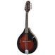 Ibanez M510-DVS 617254 фото 1