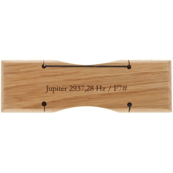 Meinl Energy Chime Jupiter 10098840 фото