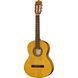 Ibanez GA2-OAM 588926 фото 1