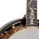 Gold Tone OB-300 Orange Blossom Master 639242 фото 6