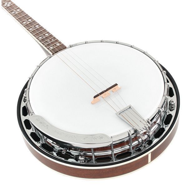 Gold Tone TS-250 Tenor Banjo w/Case 538040 фото