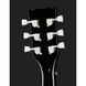 Harley Benton DC-200 BK Student Serie Bundle 371169 фото 7
