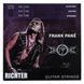 Richter Strings 10-48 Frank Pane 596841 фото 1