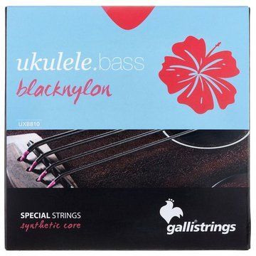 Струни для укулеле Galli Strings UXB810 Ukulele Bass Str. 543099 фото