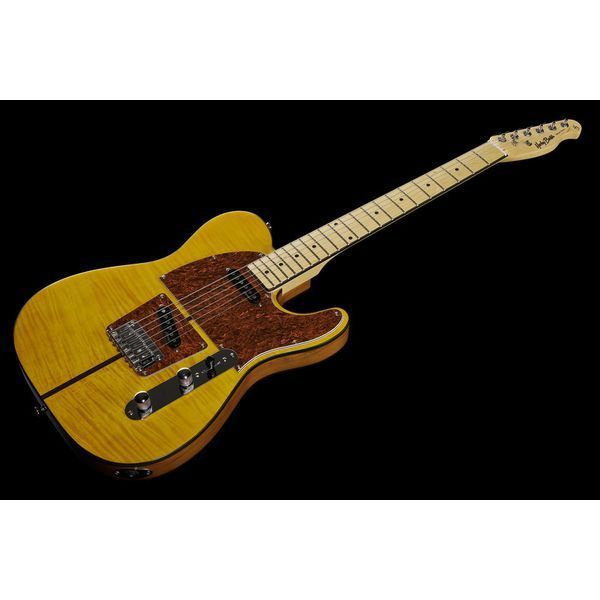 Harley Benton TE-80 NT Deluxe Series Set 581210 фото