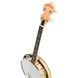 Gold Tone CC-Tenor Banjo w/Bag 537998 фото 6