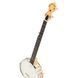 Gold Tone MM-150 Mountain Banjo w/Case 538041 фото 6
