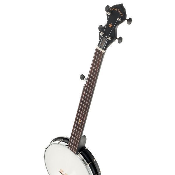 Gold Tone AC-1FL Open Back Fretless 580026 фото