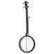 Gold Tone AC-1FL Open Back Fretless 580026 фото 2