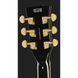 Harley Benton SC-Custom III P90 Black Set 603123 фото 7