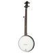 Gold Tone AC-1FL Open Back Fretless 580026 фото 1